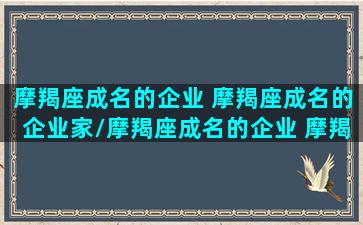 摩羯座成名的企业 摩羯座成名的企业家/摩羯座成名的企业 摩羯座成名的企业家-我的网站